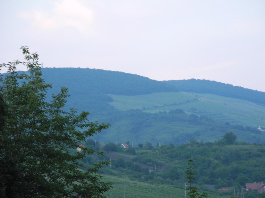 Mandula Vendégház Erlau Exterior foto